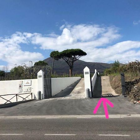Pietramiliare Διαμέρισμα Trecase Εξωτερικό φωτογραφία