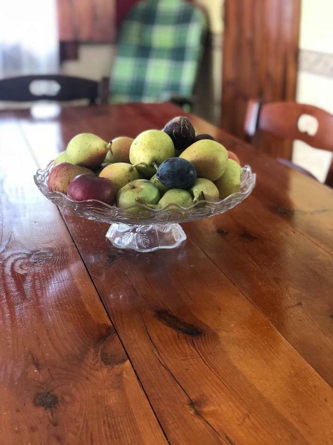 Pietramiliare Διαμέρισμα Trecase Εξωτερικό φωτογραφία