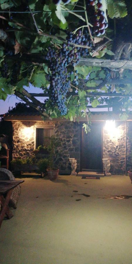 Pietramiliare Διαμέρισμα Trecase Εξωτερικό φωτογραφία